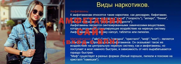 шишки Богородицк